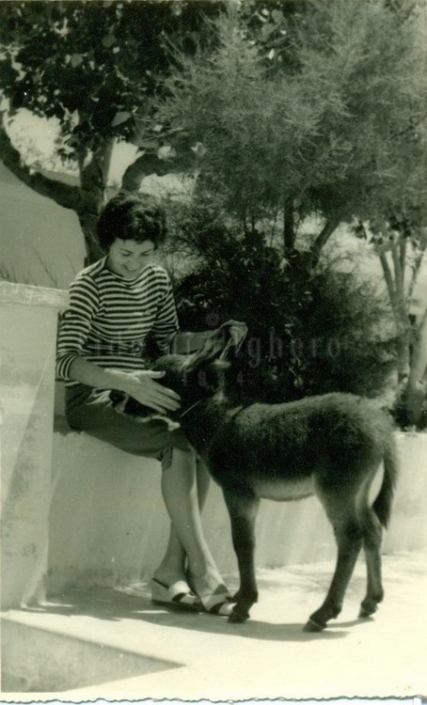 1960 giovane con asinello | Lido di Alghero
